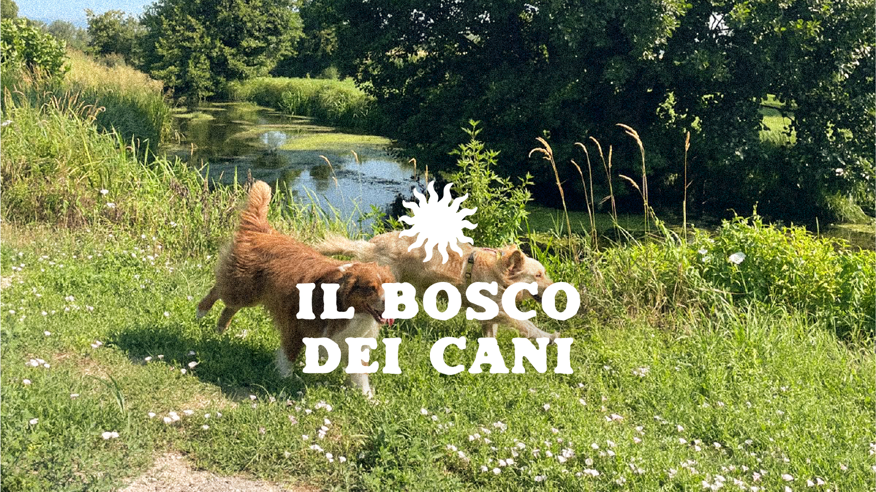 Bosco Dei Cani brand identity