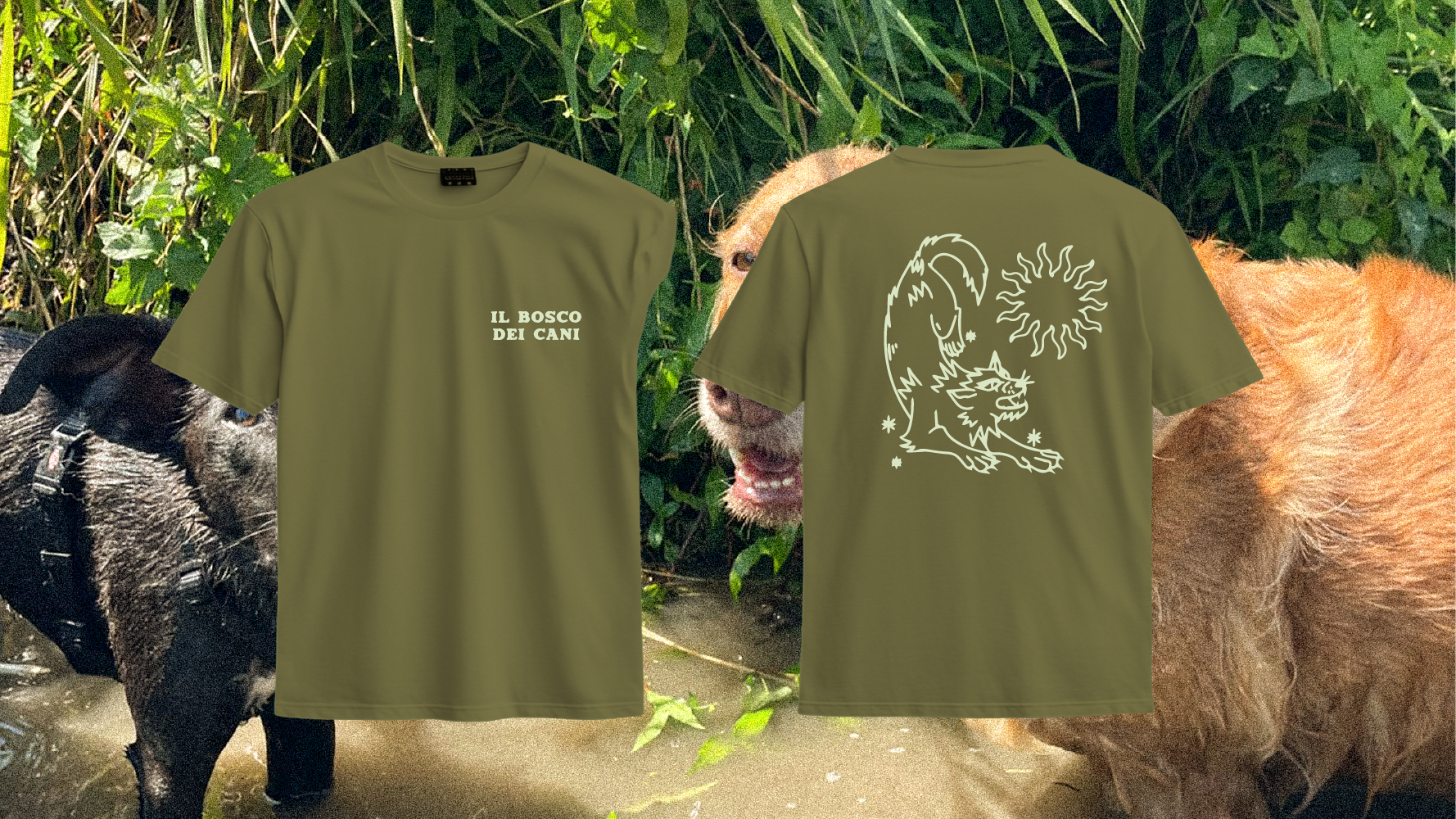 Bosco Dei Cani brand identity