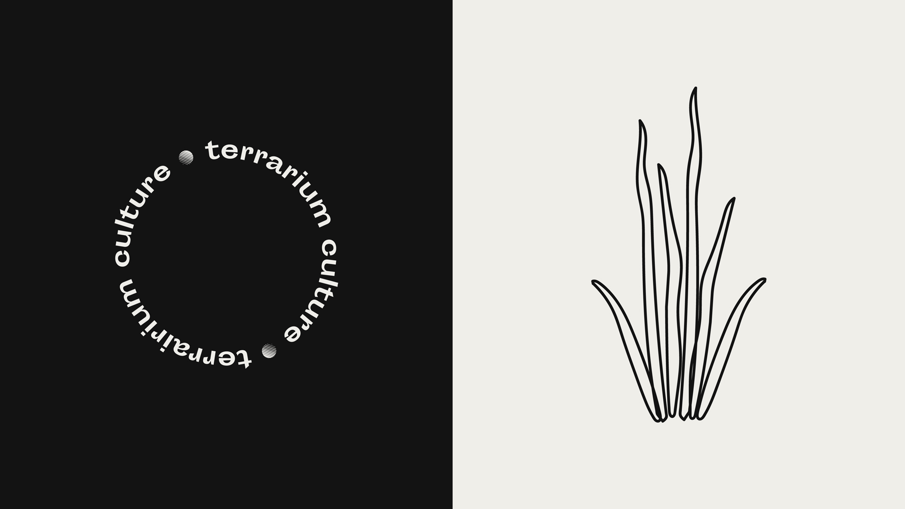 slow rebranding